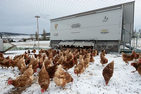 Mit sinkenden Temperaturen gibts mehr Arbeitsdruck. (Archivbild) Foto: Swen Pförtner/dpa