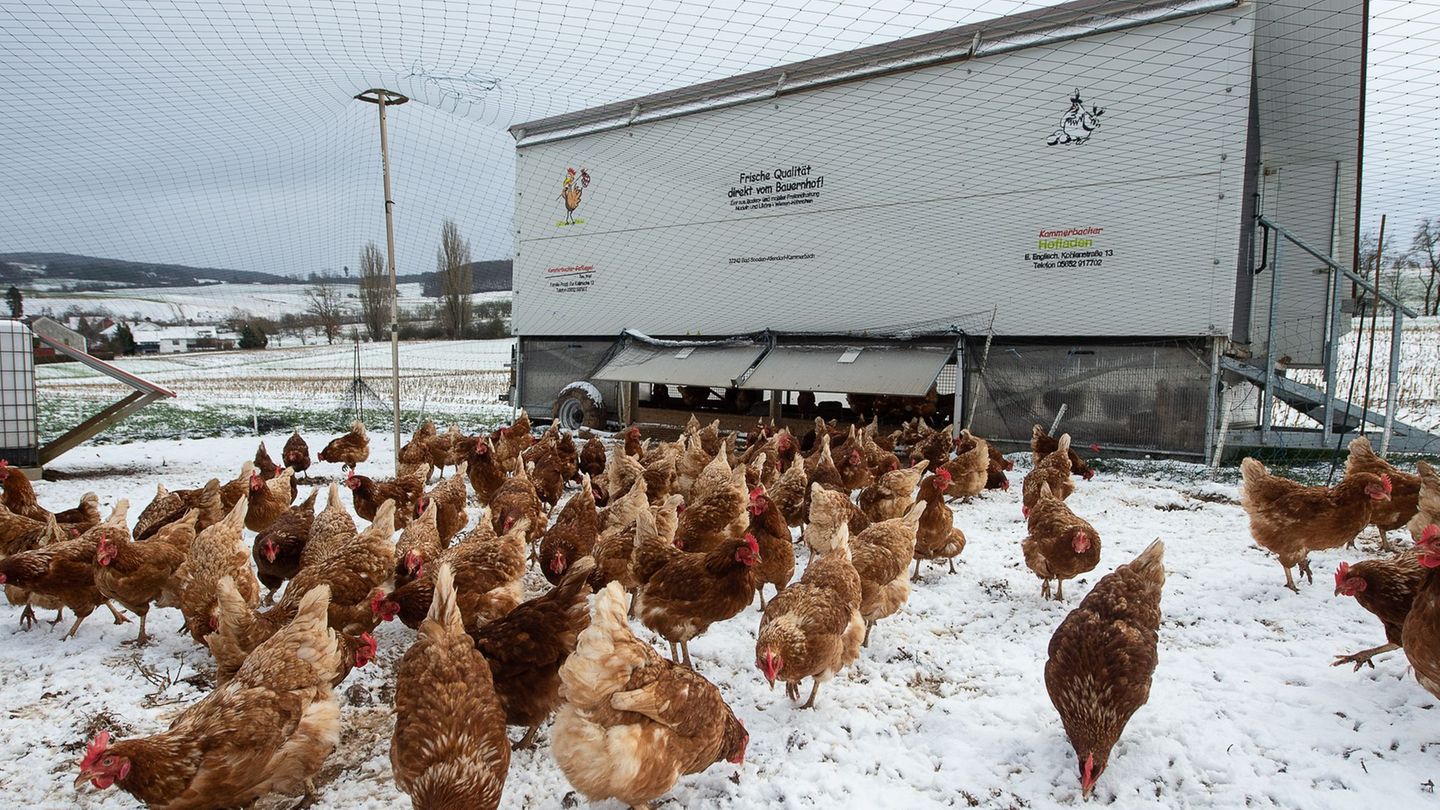 Mit sinkenden Temperaturen gibts mehr Arbeitsdruck. (Archivbild) Foto: Swen Pförtner/dpa