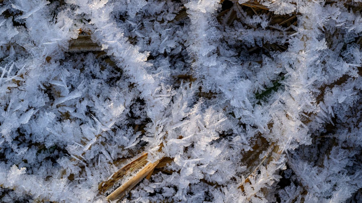 Nach der Wetterprognose des DWD wird es wolkig und es weht ein mäßiger Wind, am Montag wird es teils böig. (Symbolbild) Foto: Pa