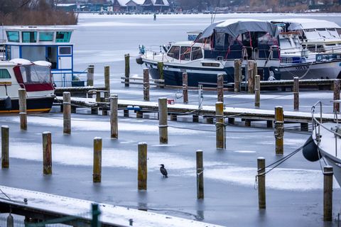 Das Wetter in Mecklenburg-Vorpommern zeigt sich auch am Wochenende von einer unfreundlichen Seite. Foto: Jens Büttner/dpa
