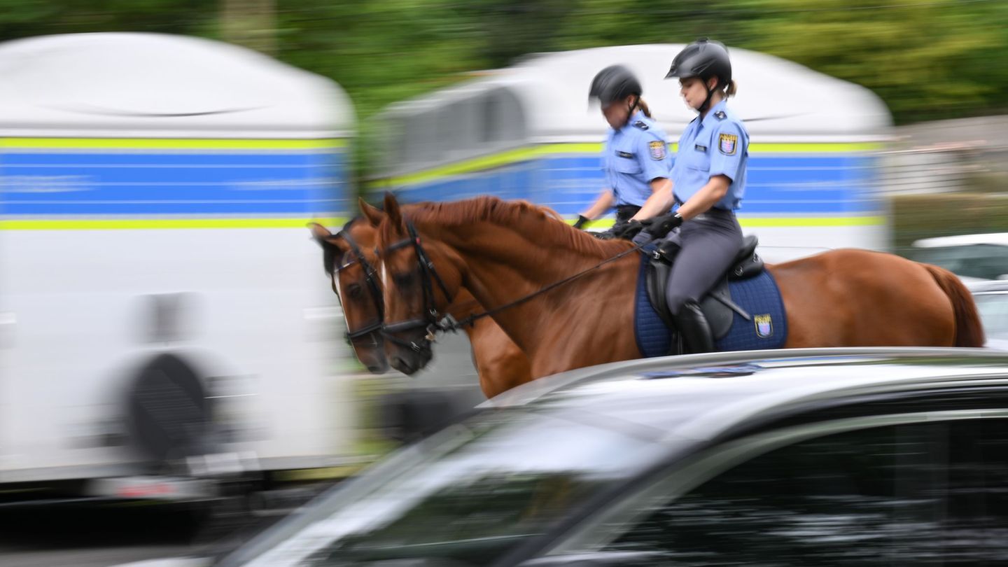 Dem Land Hessen stehen um die 15 bis 20 Dienstpferde zur Verfügung. (Archivbild) Foto: Arne Dedert/dpa