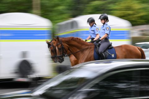 Dem Land Hessen stehen um die 15 bis 20 Dienstpferde zur Verfügung. (Archivbild) Foto: Arne Dedert/dpa