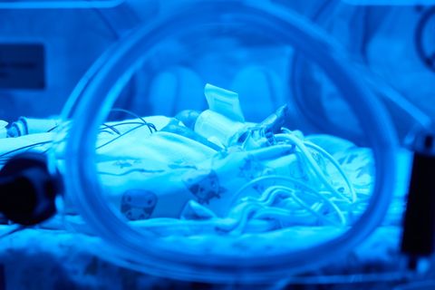 Zwei Jahre wird das Projekt in Nürnberg getestet, dann könnte die KI bayernweit eingesetzt werden. (Symbolbild) Foto: Bernd This