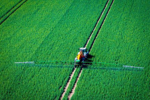 Pflanzenschutzmittel belasten Nützlinge im Boden (Archivbild) Foto: Jens Büttner/dpa
