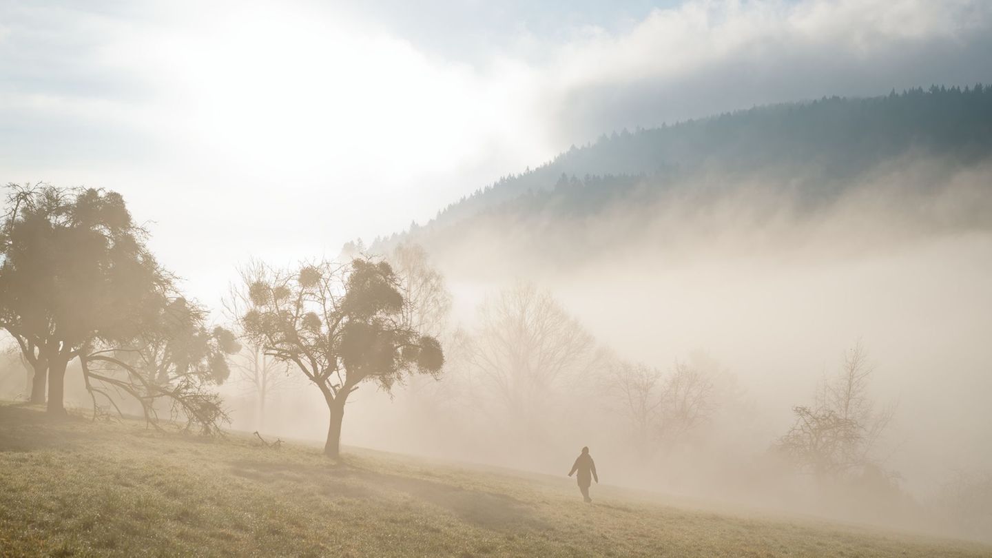 Wer Glück hat, erwischt ein wenig Sonne beim Sonntagsspaziergang. (Archivbild) Foto: Uwe Anspach/dpa