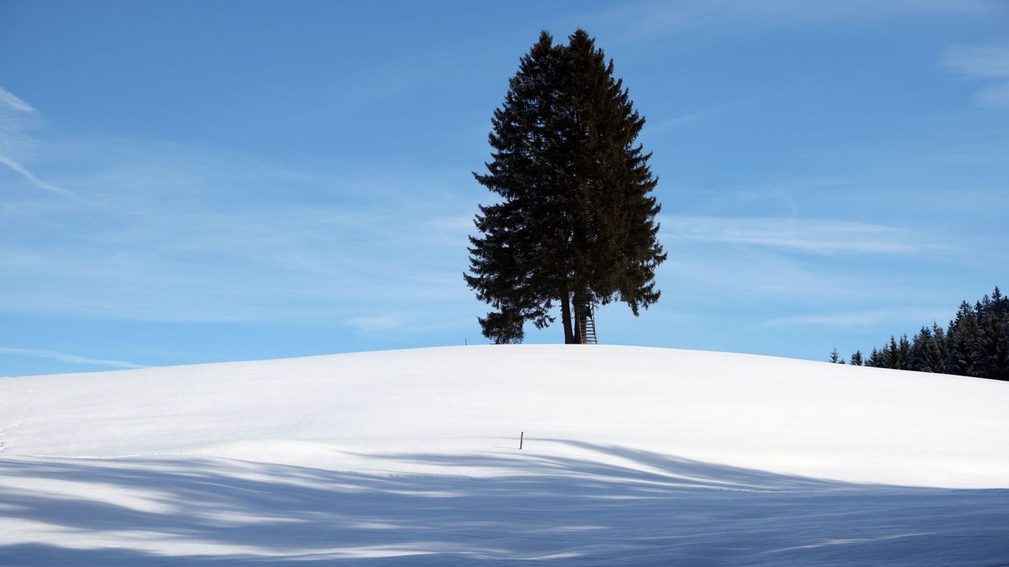 Nur in den höheren Lagen zeigt sich die Sonne. Foto: Karl-Josef Hildenbrand/dpa