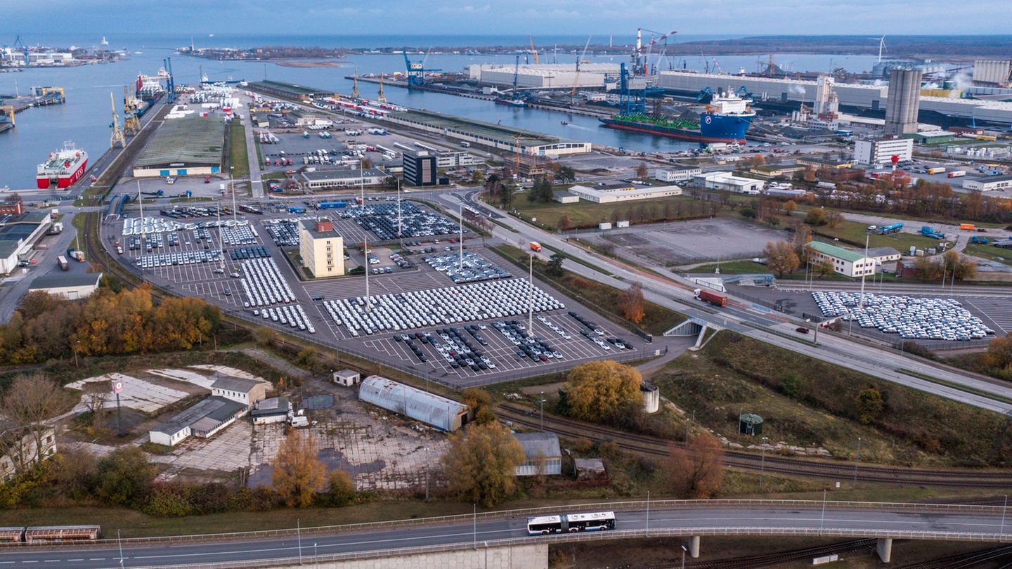 Über den Rostocker Hafen soll Wasserstoff in Form von Ammoniak nach Deutschland gelangen. (Archivbild) Foto: Jens Büttner/dpa