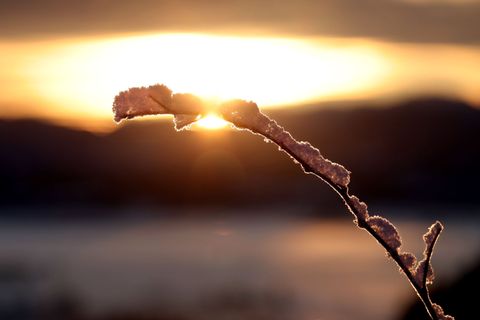 Zeitweise sonnig: Darauf können sich die Menschen am Montag im Nordosten sowie ganz im Süden freuen. (Archivbild) Foto: Karl-Jos