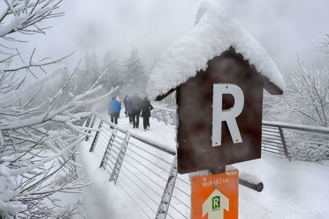 Der Rennsteig-Skiwanderweg gilt mit 142 Kilometer Länge als längster durchgängig beschilderter Fernskiwanderweg in Mitteleuropa.