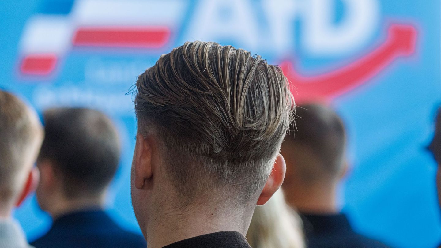 Die AfD-Jugend hat einen sächsischen Landesverband gegründet. (Archivbild) Foto: Markus Scholz/dpa