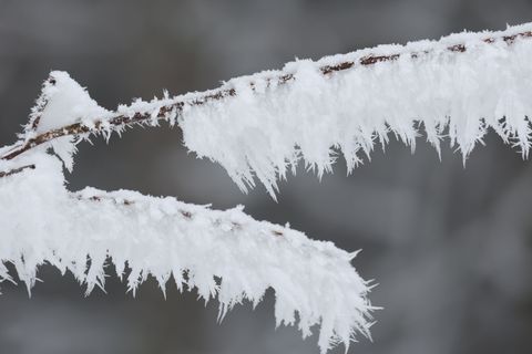 Die Woche wird kalt, stürmisch und glatt (Archivbild). Foto: Matthias Bein/dpa