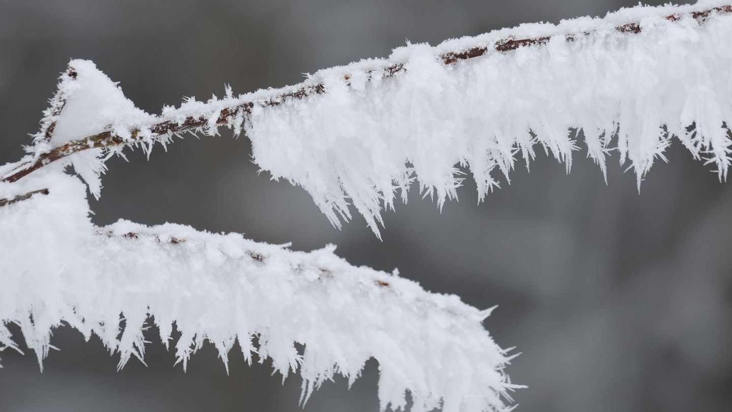 Die Woche wird kalt, stürmisch und glatt (Archivbild). Foto: Matthias Bein/dpa