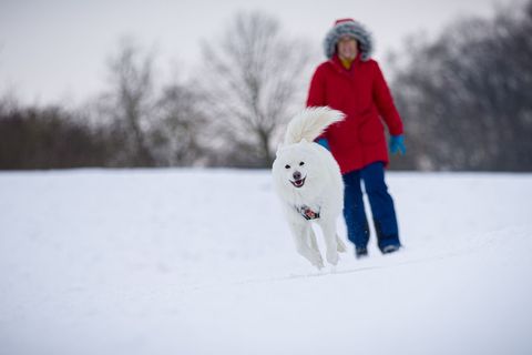 Auch zum Wochenstart bleibt es in Niedersachsen frostig kalt. Foto: Moritz Frankenberg/dpa