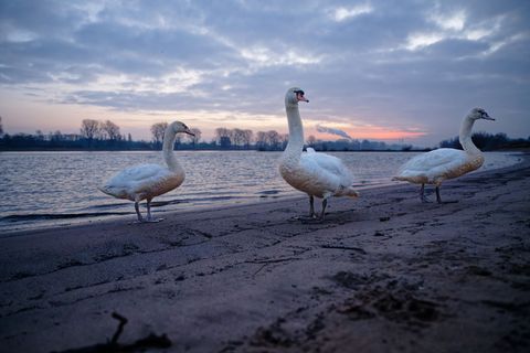 Zum Wochenstart könnte es auf den Straßen NRWs glatt werden. Foto: Henning Kaiser/dpa