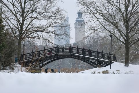 Es bleibt frostig in Sachsen. Foto: Jan Woitas/dpa
