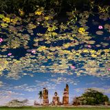 An einem ruhigen Morgen kurz nach Sonnenaufgang bemerkte Fotograf John Edwards, wie klar sich die Buddha‑Figur im stillen Wasser spiegelte. Um die friedliche, traumartige Stimmung des Augenblicks zu verstärken, spiegelte er auch seine Aufnahme, sodass die Szene wie eine Sinnestäuschung wirkt. Als läge die Landschaft unter einem Himmel voller schwebender Blumen und Seerosen. Entstanden ist das Bild in einer Region Thailands, deren Name übersetzt "Morgendämmerung des Glücks" bedeutet