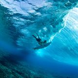 Eine Perspektive, die sonst nur Meeresbewohner kennen: In der Nähe der Insel Tavarua gelang dem brasilianischen Fotografen Frederico Figueiredo die spektakuläre Aufnahme eines Surfers, der tief unter Wasser abtaucht, um einer heranrollenden Welle auszuweichen. Die Fidschi-Inseln gelten als ebenso beliebtes wie anspruchsvolles Surferparadies und sind vor allem erfahrenen Big‑Wave‑Surfern vorbehalten