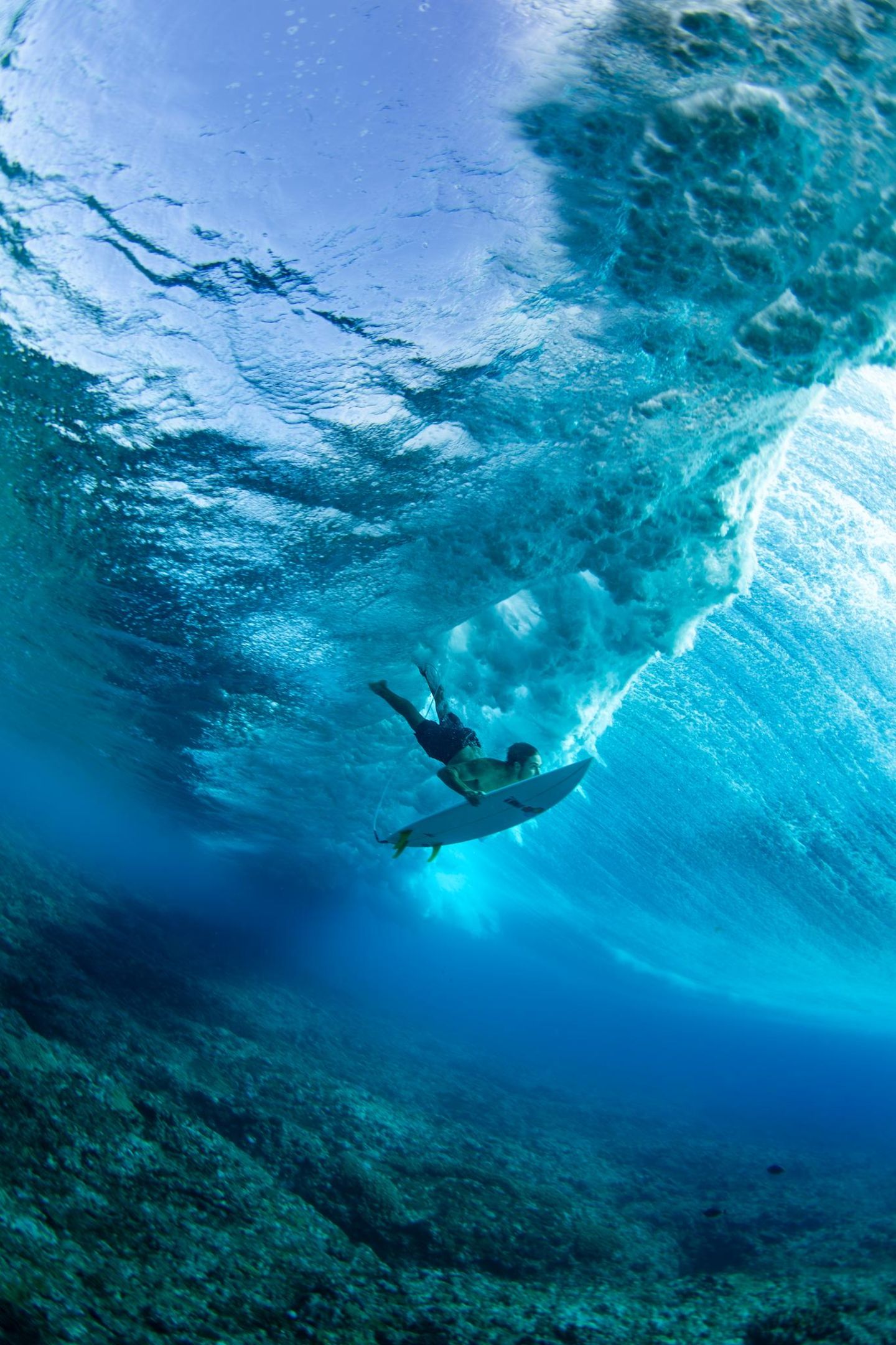 Eine Perspektive, die sonst nur Meeresbewohner kennen: In der Nähe der Insel Tavarua gelang dem brasilianischen Fotografen Frederico Figueiredo die spektakuläre Aufnahme eines Surfers, der tief unter Wasser abtaucht, um einer heranrollenden Welle auszuweichen. Die Fidschi-Inseln gelten als ebenso beliebtes wie anspruchsvolles Surferparadies und sind vor allem erfahrenen Big‑Wave‑Surfern vorbehalten