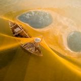 Im Morgenlicht leuchten die Netze golden über einem Fluss in Vietnam. Die Fischer spannen sie für ihren Fang weit übers Wasser. Auf Teo Chin Leongs Foto ist der Fang nicht zu sehen. Die sanften Farben und die klare Komposition lassen die Szene friedlich wirken, fast wie in einem Traum oder einer Fantasie