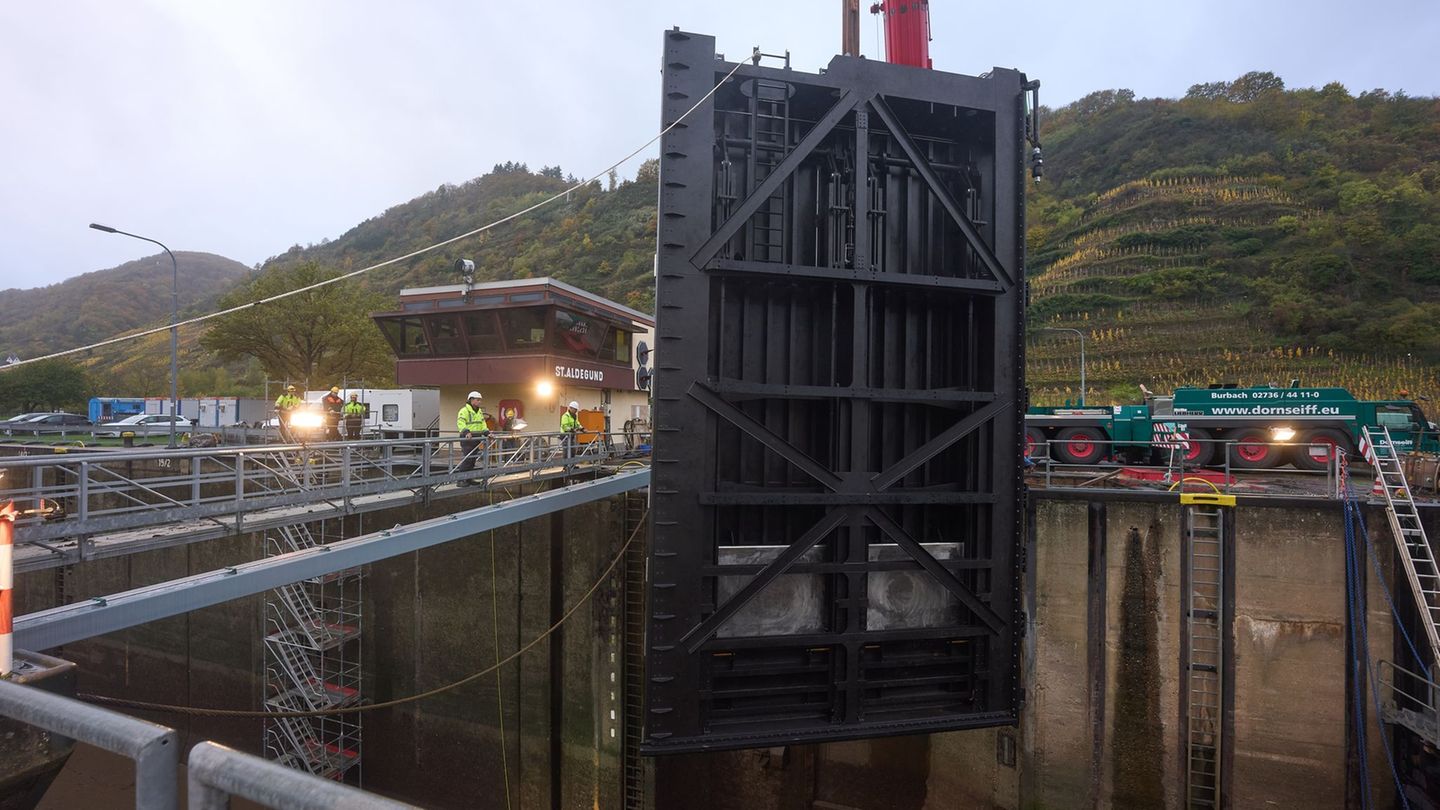 Die Mosel ist wichtig für die grenzüberschreitende Wirtschaft. (Archivbild) Foto: Thomas Frey/dpa