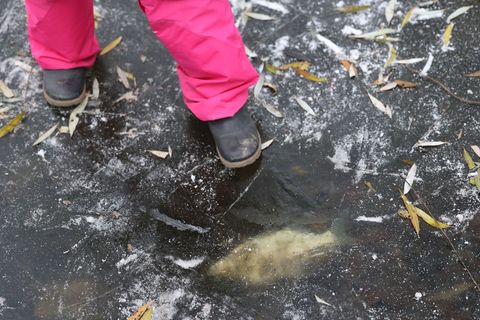 Schneedecken auf Gewässern können bei Fischen zu Sauerstoffmangel führen. (Archivbild) Foto: Jörg Carstensen/dpa