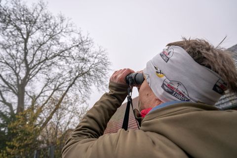 Wer Vögel sehen und hören will, muss früh aufstehen. Foto: Sascha Ditscher/dpa