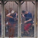 Sie sind "Die WEH C-Promis": Hubert, Simone, Patrick und Hardy treten zur Dschungelprüfung an. Die vier werden dafür in eine Toilettenkabine eingesperrt und müssen aus einer mit braunem Schleim gefüllten Toilettenschüssel ein Werkzeug holen. Mit diesem sollen sie neun an Schrauben befestigte Sterne an einer Stange lösen – in neun Minuten. Währenddessen regnet Dschungelgetier auf sie herab