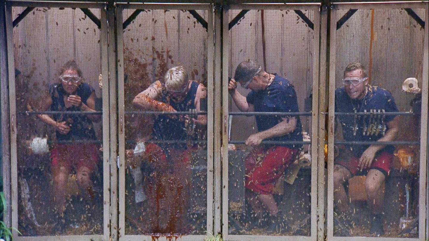 Sie sind "Die WEH C-Promis": Hubert, Simone, Patrick und Hardy treten zur Dschungelprüfung an. Die vier werden dafür in eine Toilettenkabine eingesperrt und müssen aus einer mit braunem Schleim gefüllten Toilettenschüssel ein Werkzeug holen. Mit diesem sollen sie neun an Schrauben befestigte Sterne an einer Stange lösen – in neun Minuten. Währenddessen regnet Dschungelgetier auf sie herab