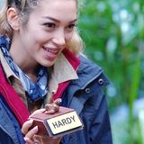 Im Dschungeltelefon findet Teamchef Hardy ein Tablett mit kleinen Tierfiguren vor, darunter Papagei, Esel, Faultier und Schlange. Die Aufgabe: "Nehmt euch nacheinander eine der Tiertrophäen und vergebt diese an einen Promi eurer Wahl." Ariel schnappt sich das Faultier und gibt es an Hardy: "Weil du den ganzen Tag nichts machst", so ihre Begründung. "Du denkst, du bist Hardy, du bist seit Jahren im Business, du hast eine Fanbase im Rücken und kannst hier einfach den ganzen Tag rumliegen."