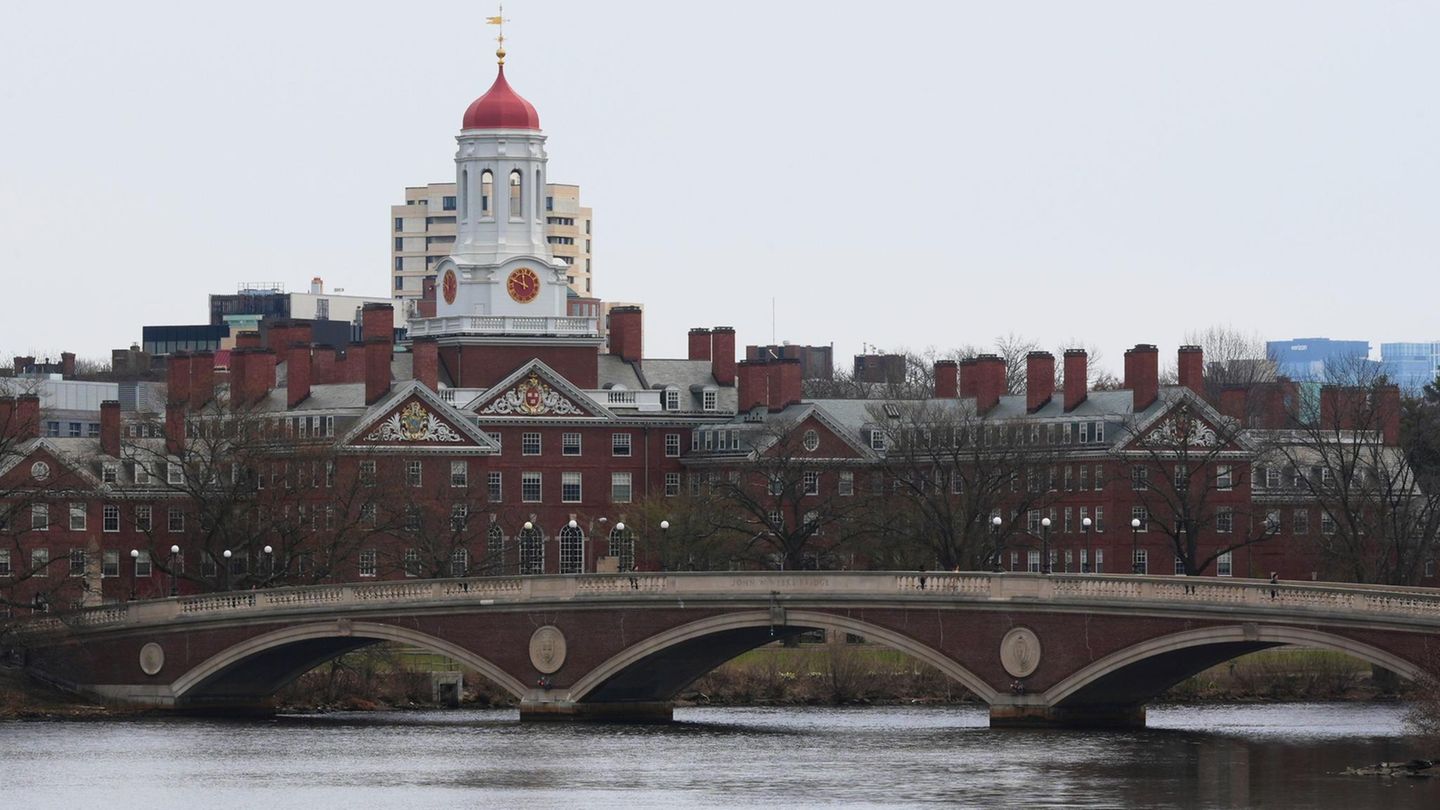Ein Ruderer rudert den Charles River in der Nähe der Harvard University hinunter