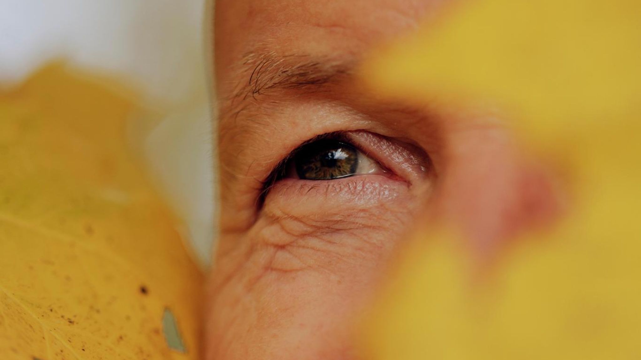 Nahaufnahme von Søren Sveistrups Auge