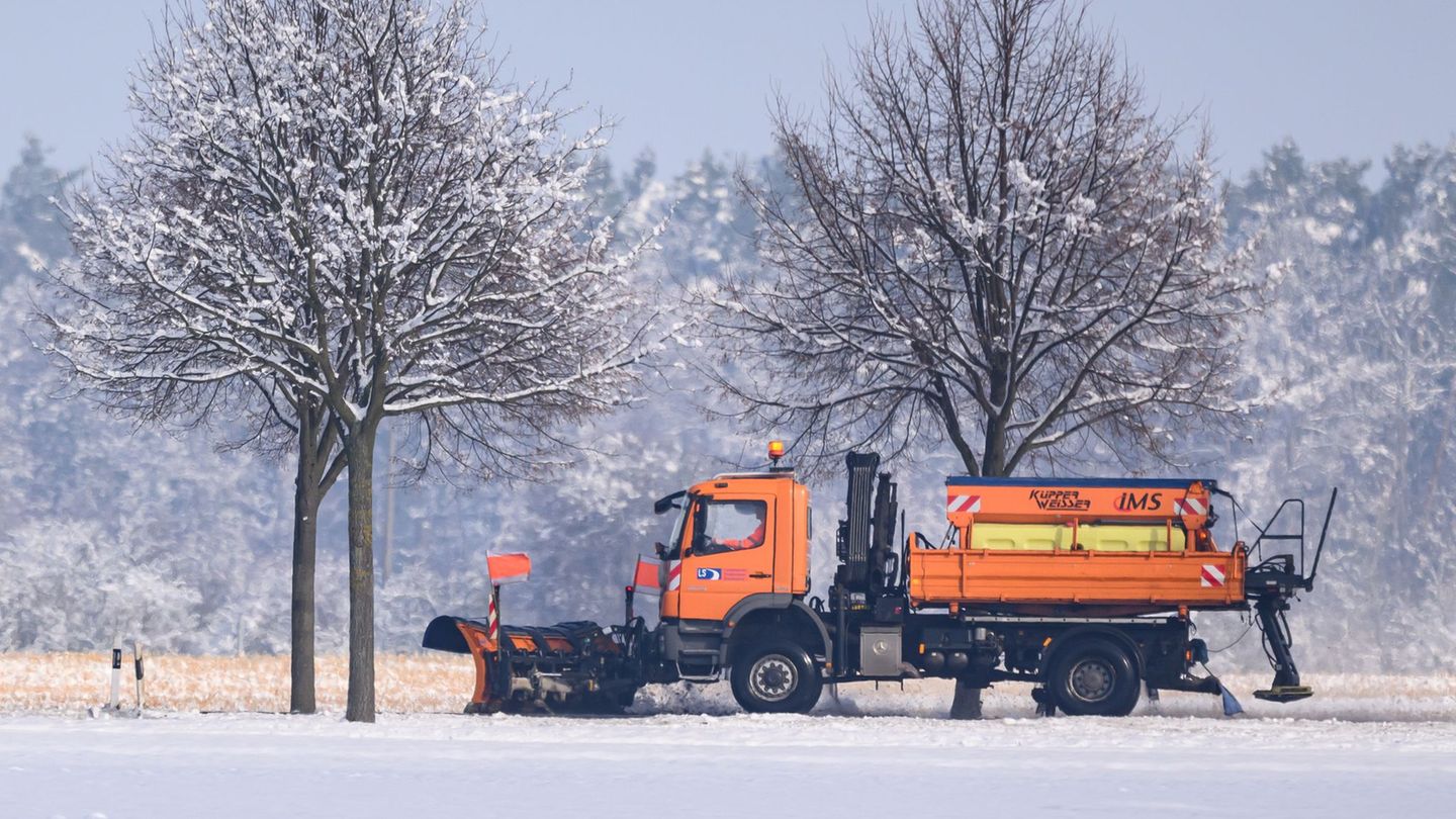 Naturschützer: Streusalz im Winter schädigt Bäume im Sommer. (Symbolbild) Foto: Patrick Pleul/dpa