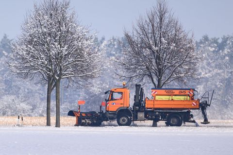Naturschützer: Streusalz im Winter schädigt Bäume im Sommer. (Symbolbild) Foto: Patrick Pleul/dpa