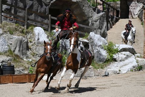 Sehr gute Reitkenntnisse werden vorausgesetzt. (Archivbild). Foto: David Hammersen/dpa