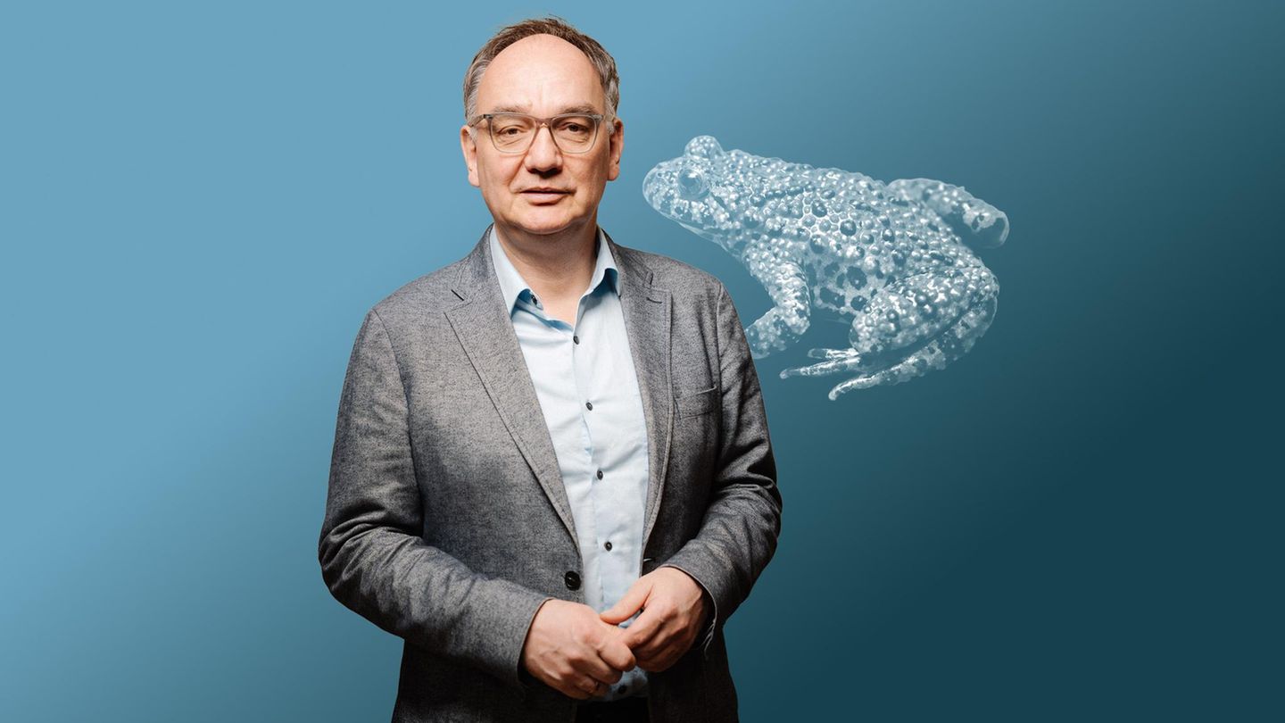 Collage zur Fried Kolumne zum Thema Eskalation