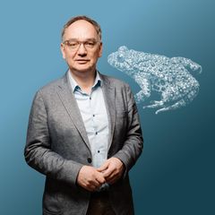 Collage zur Fried Kolumne zum Thema Eskalation