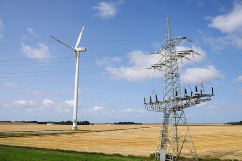 Bis 2040 will Schleswig-Holstein klimaneutral sein. (Symbolbild) Foto: Frank Molter/dpa