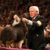 Westminster Dog Show