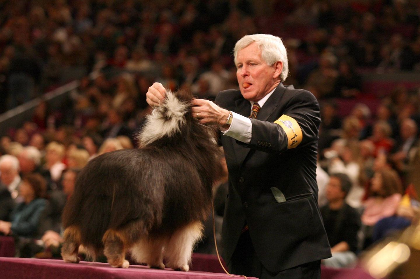 Westminster Dog Show