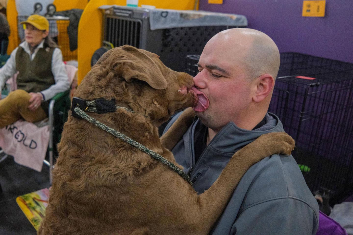 Westminster Dog Show