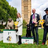 Westminster Dog Show