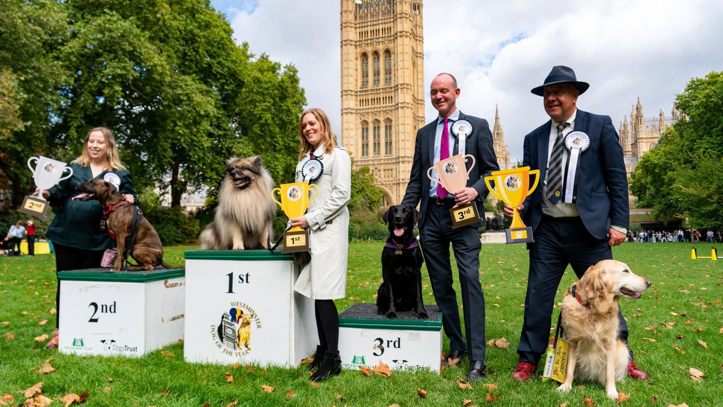 Westminster Dog Show