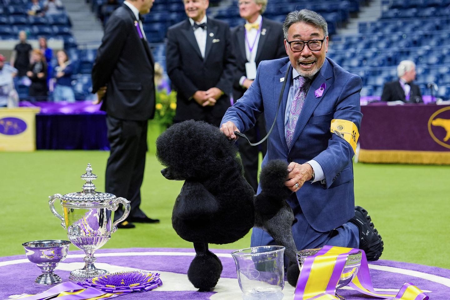 Westminster Dog Show