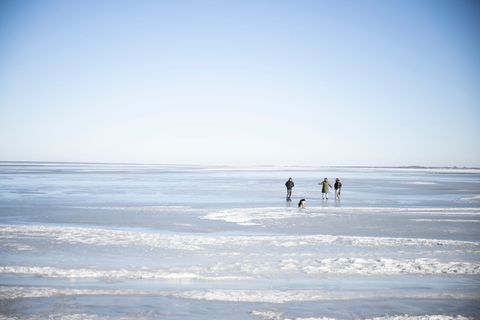 Menschen erkunden an der Küste die vergänglichen Eiswelten. Foto: Philip Dulian/dpa