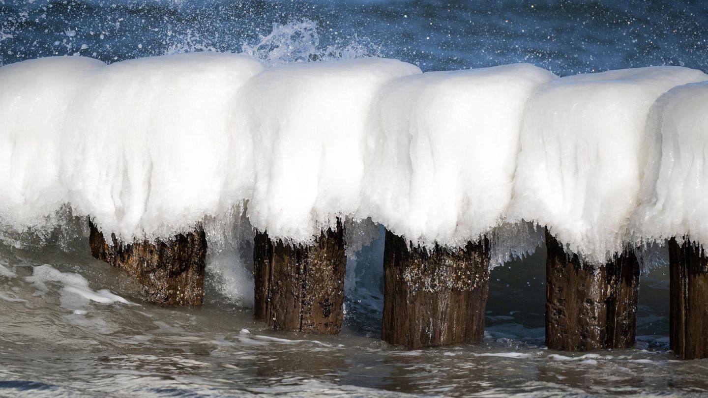 Auch die Buhnen – Dämme aus Holzpfählen in der Ostsee – sind von Eis bedeckt