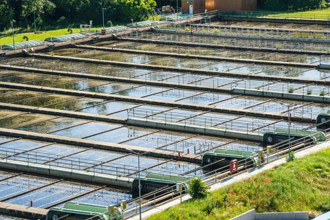 Der Klimawandel sorge für längere Trockenphasen und mehr Starkregen, sagt der VKU. Das bringe Herausforderungen für die Wasserve