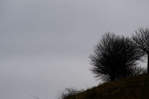 Gute Luft ist wichtig - derzeit ist sie allerdings vielerorts nicht gut. (Archivbild) Foto: Julian Stratenschulte/dpa