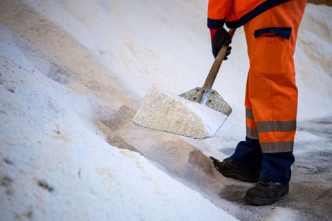 Wer Streusalz im Baumarkt kaufen will, steht in MV oft vor leeren Regalen. (Symbolbild) Foto: Sina Schuldt/dpa