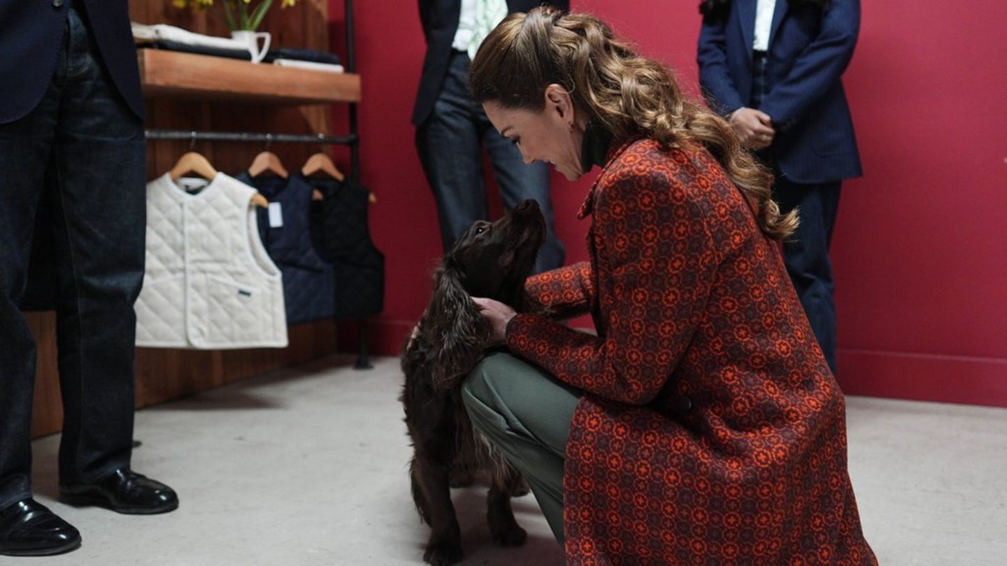 Prinzessin Kate hat in Wales Cocker Spaniel Barney getroffen.