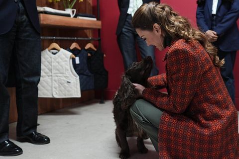 Prinzessin Kate hat in Wales Cocker Spaniel Barney getroffen.